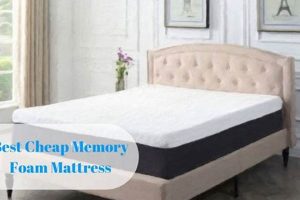 Top-Rated: Best Cheap Memory Foam Mattress Deals Today! | Organic & Natural Mattress Buyer’s Guide: Non-Toxic Sleep Solutions