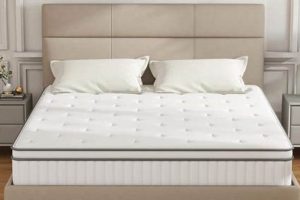 Best 10in Memory Foam Mattress: Sleep Soundly! | Organic & Natural Mattress Buyer’s Guide: Non-Toxic Sleep Solutions