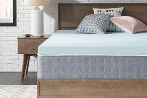 Sealy Memory Foam: Comfort Upgrade Mattress Topper | Organic & Natural Mattress Buyer’s Guide: Non-Toxic Sleep Solutions