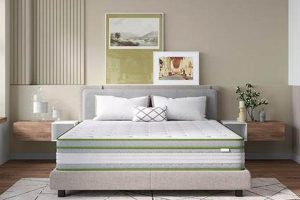 Top-Rated Best Hybrid Memory Foam Mattress for You Today! Organic & Natural Mattress Buyer’s Guide: Non-Toxic Sleep Solutions Top-Rated Best Hybrid Memory Foam Mattress for You Today! | Organic & Natural Mattress Buyer’s Guide: Non-Toxic Sleep Solutions