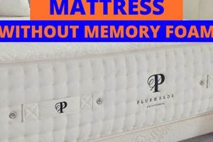 Alternatives: Best Mattress Without Memory Foam + Guide Organic & Natural Mattress Buyer’s Guide: Non-Toxic Sleep Solutions Alternatives: Best Mattress Without Memory Foam + Guide | Organic & Natural Mattress Buyer’s Guide: Non-Toxic Sleep Solutions