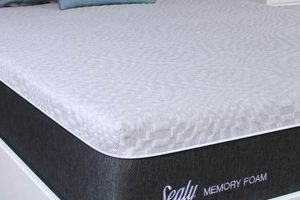 Sleep Soundly: Sealy Memory Foam Plush Mattress Comfort Organic & Natural Mattress Buyer’s Guide: Non-Toxic Sleep Solutions Sleep Soundly: Sealy Memory Foam Plush Mattress Comfort | Organic & Natural Mattress Buyer’s Guide: Non-Toxic Sleep Solutions