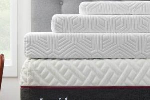 Enhance Sleep: Lucid Gel Memory Foam Mattress Topper Comfort | Organic & Natural Mattress Buyer’s Guide: Non-Toxic Sleep Solutions