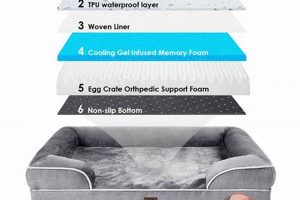 Best Memory Foam Mattress for Dogs: Comfort & Support | Organic & Natural Mattress Buyer’s Guide: Non-Toxic Sleep Solutions