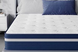 Best 10 Inch Memory Foam Mattress: [Prefix & Suffix] | Organic & Natural Mattress Buyer’s Guide: Non-Toxic Sleep Solutions