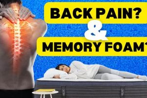 Memory Foam Mattress: Back Pain Relief + Benefits Organic & Natural Mattress Buyer’s Guide: Non-Toxic Sleep Solutions Memory Foam Mattress: Back Pain Relief + Benefits | Organic & Natural Mattress Buyer’s Guide: Non-Toxic Sleep Solutions