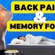 Memory Foam Mattress: Back Pain Relief + Benefits | Organic & Natural Mattress Buyer’s Guide: Non-Toxic Sleep Solutions