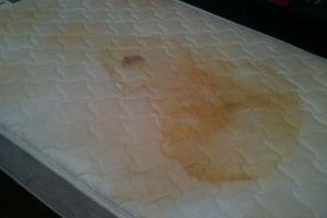 Get Rid of Urine Stains: Clean Your Mattress Now! Organic & Natural Mattress Buyer’s Guide: Non-Toxic Sleep Solutions Get Rid of Urine Stains: Clean Your Mattress Now! | Organic & Natural Mattress Buyer’s Guide: Non-Toxic Sleep Solutions
