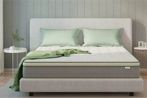 Top-Rated Memory Foam Mattress Reddit: Find Your Best Sleep | Organic & Natural Mattress Buyer’s Guide: Non-Toxic Sleep Solutions