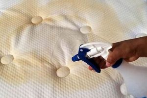 Get Urine Out! How to Clean Your Memory Foam Mattress | Organic & Natural Mattress Buyer’s Guide: Non-Toxic Sleep Solutions