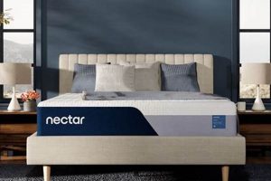 Discover Nectar Mattress Memory Foam: Sleep Soundly Tonight Organic & Natural Mattress Buyer’s Guide: Non-Toxic Sleep Solutions Discover Nectar Mattress Memory Foam: Sleep Soundly Tonight | Organic & Natural Mattress Buyer’s Guide: Non-Toxic Sleep Solutions