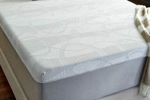 Best Mattress Firm Memory Foam: Sleep Soundly Tonight | Organic & Natural Mattress Buyer’s Guide: Non-Toxic Sleep Solutions
