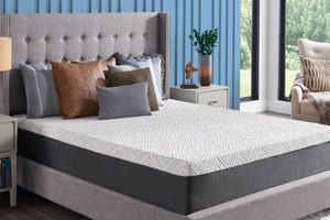 Experience Sealy Memory Foam Medium Mattress Comfort Today! | Organic & Natural Mattress Buyer’s Guide: Non-Toxic Sleep Solutions