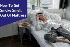Get Rid of Smoke Smell in Mattress: Easy Steps & Tips Organic & Natural Mattress Buyer’s Guide: Non-Toxic Sleep Solutions Get Rid of Smoke Smell in Mattress: Easy Steps & Tips | Organic & Natural Mattress Buyer’s Guide: Non-Toxic Sleep Solutions