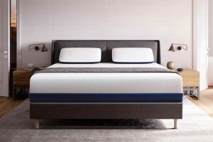 Best Memory Foam Mattress for Side Sleepers: Comfort Guide | Organic & Natural Mattress Buyer’s Guide: Non-Toxic Sleep Solutions