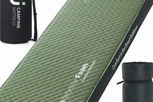 Best Memory Foam Inflatable Mattress? Reviews & Guide | Organic & Natural Mattress Buyer’s Guide: Non-Toxic Sleep Solutions