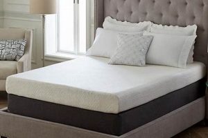 Best Queen 8 Memory Foam Mattress for [Benefit] & [UserType] | Organic & Natural Mattress Buyer’s Guide: Non-Toxic Sleep Solutions