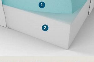 Buy Lucid Gel Memory Foam Mattress Today For Back Pain! | Organic & Natural Mattress Buyer’s Guide: Non-Toxic Sleep Solutions