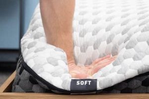 Best Soft Memory Foam Mattress [Guide & Review] | Organic & Natural Mattress Buyer’s Guide: Non-Toxic Sleep Solutions