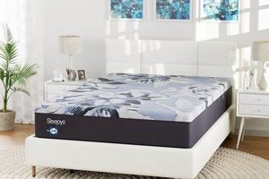 Sleepy's Memory Foam Mattress: Dreamy Comfort Now! Organic & Natural Mattress Buyer’s Guide: Non-Toxic Sleep Solutions Sleepy's Memory Foam Mattress: Dreamy Comfort Now! | Organic & Natural Mattress Buyer’s Guide: Non-Toxic Sleep Solutions