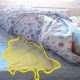 Quickly Remove Urine on Mattress: Get Odor Out FAST! | Organic & Natural Mattress Buyer’s Guide: Non-Toxic Sleep Solutions