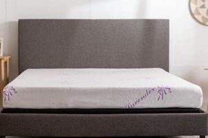 Best Mattress Firm Memory Foam: Comfort & Support | Organic & Natural Mattress Buyer’s Guide: Non-Toxic Sleep Solutions