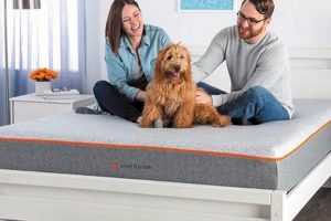 Buy Artisanal Craft Memory Foam Mattress Today! | Organic & Natural Mattress Buyer’s Guide: Non-Toxic Sleep Solutions