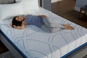 Best Twin Gel Memory Foam Mattress for Cool Sleep | Organic & Natural Mattress Buyer’s Guide: Non-Toxic Sleep Solutions