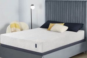 Ultimate Serta 10" Memory Foam Mattress Review & Guide | Organic & Natural Mattress Buyer’s Guide: Non-Toxic Sleep Solutions