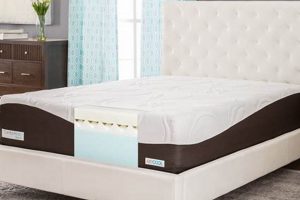 Beautyrest Memory Foam Mattress: Comfort Redefined Organic & Natural Mattress Buyer’s Guide: Non-Toxic Sleep Solutions Beautyrest Memory Foam Mattress: Comfort Redefined | Organic & Natural Mattress Buyer’s Guide: Non-Toxic Sleep Solutions