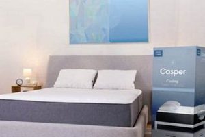Best Casper Cooling Select Memory Foam Mattress [Review] | Organic & Natural Mattress Buyer’s Guide: Non-Toxic Sleep Solutions