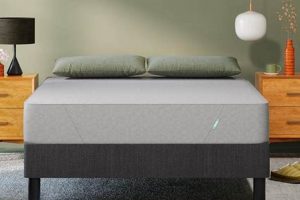 Siena Memory Foam Mattress: Affordable Comfort Today! | Organic & Natural Mattress Buyer’s Guide: Non-Toxic Sleep Solutions