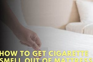 Get Rid of Cigarette Smell: Deodorize Your Mattress Now! Organic & Natural Mattress Buyer’s Guide: Non-Toxic Sleep Solutions Get Rid of Cigarette Smell: Deodorize Your Mattress Now! | Organic & Natural Mattress Buyer’s Guide: Non-Toxic Sleep Solutions