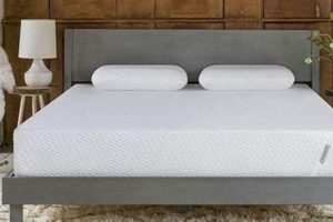 The Ultimate Tuft & Needle Mattress Review [2024 Guide] | Organic & Natural Mattress Buyer’s Guide: Non-Toxic Sleep Solutions