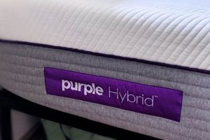 Is Purple Hybrid Mattress Good? Review + Analysis Safem Fabrication - Precision Engineering & Custom Manufacturing Solutions Is Purple Hybrid Mattress Good? Review + Analysis | Safem Fabrication - Precision Engineering & Custom Manufacturing Solutions