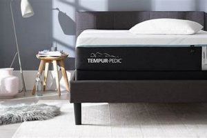 Best Tempur Mattress Review 2024: Is It Worth It? Safem Fabrication - Precision Engineering & Custom Manufacturing Solutions Best Tempur Mattress Review 2024: Is It Worth It? | Safem Fabrication - Precision Engineering & Custom Manufacturing Solutions