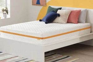 Best Simmons Hybrid Mattress Reviews [2024 Update] | Organic & Natural Mattress Buyer’s Guide: Non-Toxic Sleep Solutions
