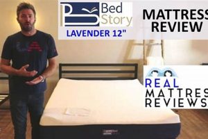 Best Bed Story Mattress Reviews: Your Guide & More Safem Fabrication - Precision Engineering & Custom Manufacturing Solutions Best Bed Story Mattress Reviews: Your Guide & More | Safem Fabrication - Precision Engineering & Custom Manufacturing Solutions