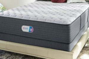 Best Beautyrest Hybrid Mattress Reviews: Guide & Analysis Organic & Natural Mattress Buyer’s Guide: Non-Toxic Sleep Solutions Best Beautyrest Hybrid Mattress Reviews: Guide & Analysis | Organic & Natural Mattress Buyer’s Guide: Non-Toxic Sleep Solutions