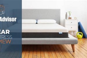 Best Bear Mattress Review 2024: Is It Worth It? Organic & Natural Mattress Buyer’s Guide: Non-Toxic Sleep Solutions Best Bear Mattress Review 2024: Is It Worth It? | Organic & Natural Mattress Buyer’s Guide: Non-Toxic Sleep Solutions