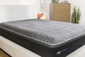 Are Sealy Hybrid Mattress Reviews Legit? + Guide Organic & Natural Mattress Buyer’s Guide: Non-Toxic Sleep Solutions Are Sealy Hybrid Mattress Reviews Legit? + Guide | Organic & Natural Mattress Buyer’s Guide: Non-Toxic Sleep Solutions
