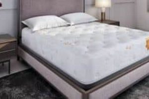 Honest Prana Mattress Reviews: Is It Worth It? Organic & Natural Mattress Buyer’s Guide: Non-Toxic Sleep Solutions Honest Prana Mattress Reviews: Is It Worth It? | Organic & Natural Mattress Buyer’s Guide: Non-Toxic Sleep Solutions