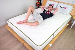 Is Luxerion Latex Mattress Right? Review & Guide Organic & Natural Mattress Buyer’s Guide: Non-Toxic Sleep Solutions Is Luxerion Latex Mattress Right? Review & Guide | Organic & Natural Mattress Buyer’s Guide: Non-Toxic Sleep Solutions