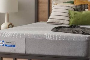 Sleepys by Sealy Mattress Review: [Year] Models &amp; More | Organic & Natural Mattress Buyer’s Guide: Non-Toxic Sleep Solutions