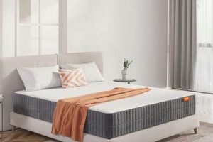 Sweet Night Mattress Review: Is It Worth It? Organic & Natural Mattress Buyer’s Guide: Non-Toxic Sleep Solutions Sweet Night Mattress Review: Is It Worth It? | Organic & Natural Mattress Buyer’s Guide: Non-Toxic Sleep Solutions