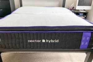 Nectar Hybrid Mattress Reviews: Is It Right for YOU? Organic & Natural Mattress Buyer’s Guide: Non-Toxic Sleep Solutions Nectar Hybrid Mattress Reviews: Is It Right for YOU? | Organic & Natural Mattress Buyer’s Guide: Non-Toxic Sleep Solutions