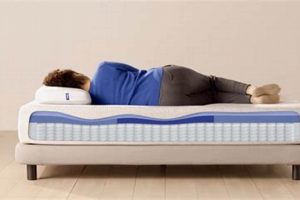 Best Casper Hybrid Mattress Reviews: Is It Worth It? Organic & Natural Mattress Buyer’s Guide: Non-Toxic Sleep Solutions Best Casper Hybrid Mattress Reviews: Is It Worth It? | Organic & Natural Mattress Buyer’s Guide: Non-Toxic Sleep Solutions