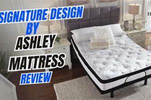 Ashley Mattress Reviews: Before You Buy [2024 Guide] | Organic & Natural Mattress Buyer’s Guide: Non-Toxic Sleep Solutions