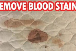 Easy Way: How Do I Get Blood Stains Out of Mattress? +Tips Organic & Natural Mattress Buyer’s Guide: Non-Toxic Sleep Solutions Easy Way: How Do I Get Blood Stains Out of Mattress? +Tips | Organic & Natural Mattress Buyer’s Guide: Non-Toxic Sleep Solutions