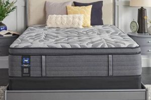 Is Sealy Posturepedic Mattress Review Worth It? [2024] | Organic & Natural Mattress Buyer’s Guide: Non-Toxic Sleep Solutions